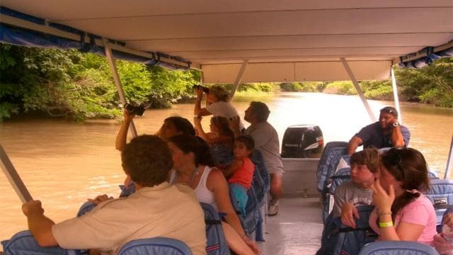 Parc national de Palo Verde : excursion en bateau sur la faune - Photo 4 (Gallery view)