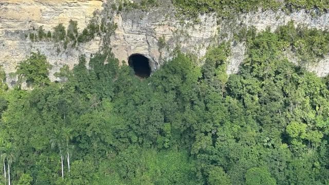 圣胡安：私人直升机岛屿之旅 - Photo 3 (Gallery view)