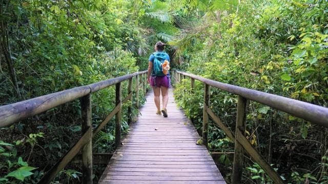 Manuel Antonio: Discover the tropical forests & white-sand - Dominican Republic