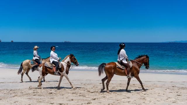 From Brasilito: 1-Hour Horseback Riding Beach Tour - Photo 5 (Gallery view)