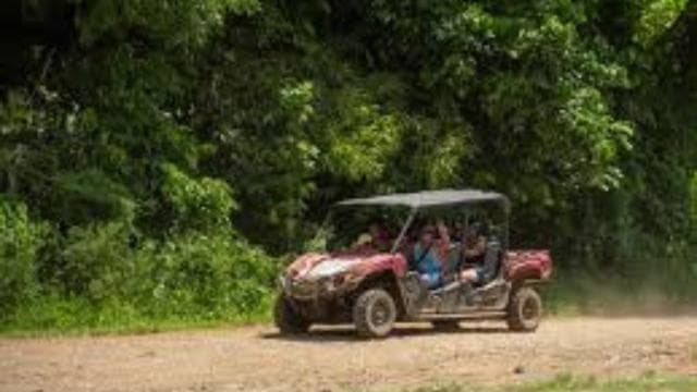 Carabalí Rainforest Park: 2-Hour UTV Adventure Tour - Photo 5 (Gallery view)