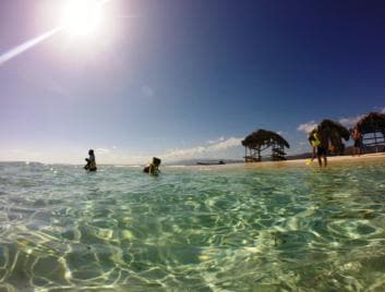 Cayo Arena: tour privato di Paradise Island e Magroves - Photo 3 (Gallery view)