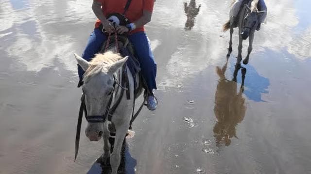 Jaco Horse Tours - Dominican Republic