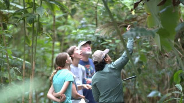 La Fortuna: Sloth & Wildlife Nature Walk - Photo 3 (Gallery view)