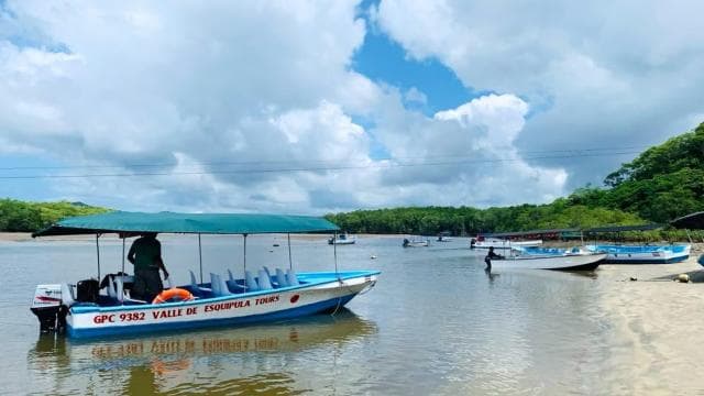 Tamarindo Estuary: Explore by Boat or Kayak - Choose your tour! - Photo 2 (Gallery view)