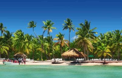 Private: Saona Island Full-Day Escape with Meals & Beverages - Photo 4 (Gallery view)