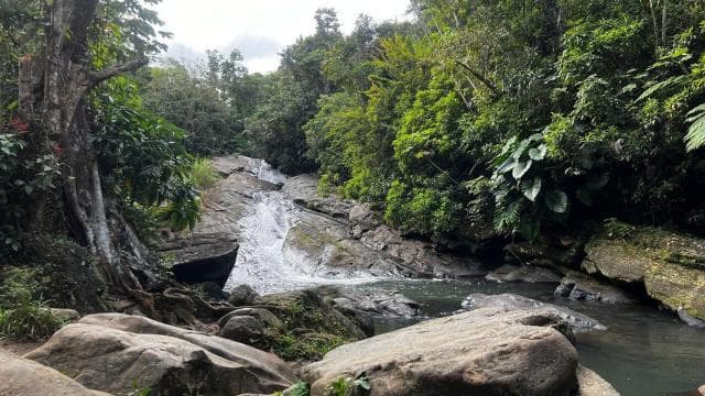 Tobogan v dažďovom pralese El Yunque a prehliadka pláže Luquillo - Photo 5 (Gallery view)