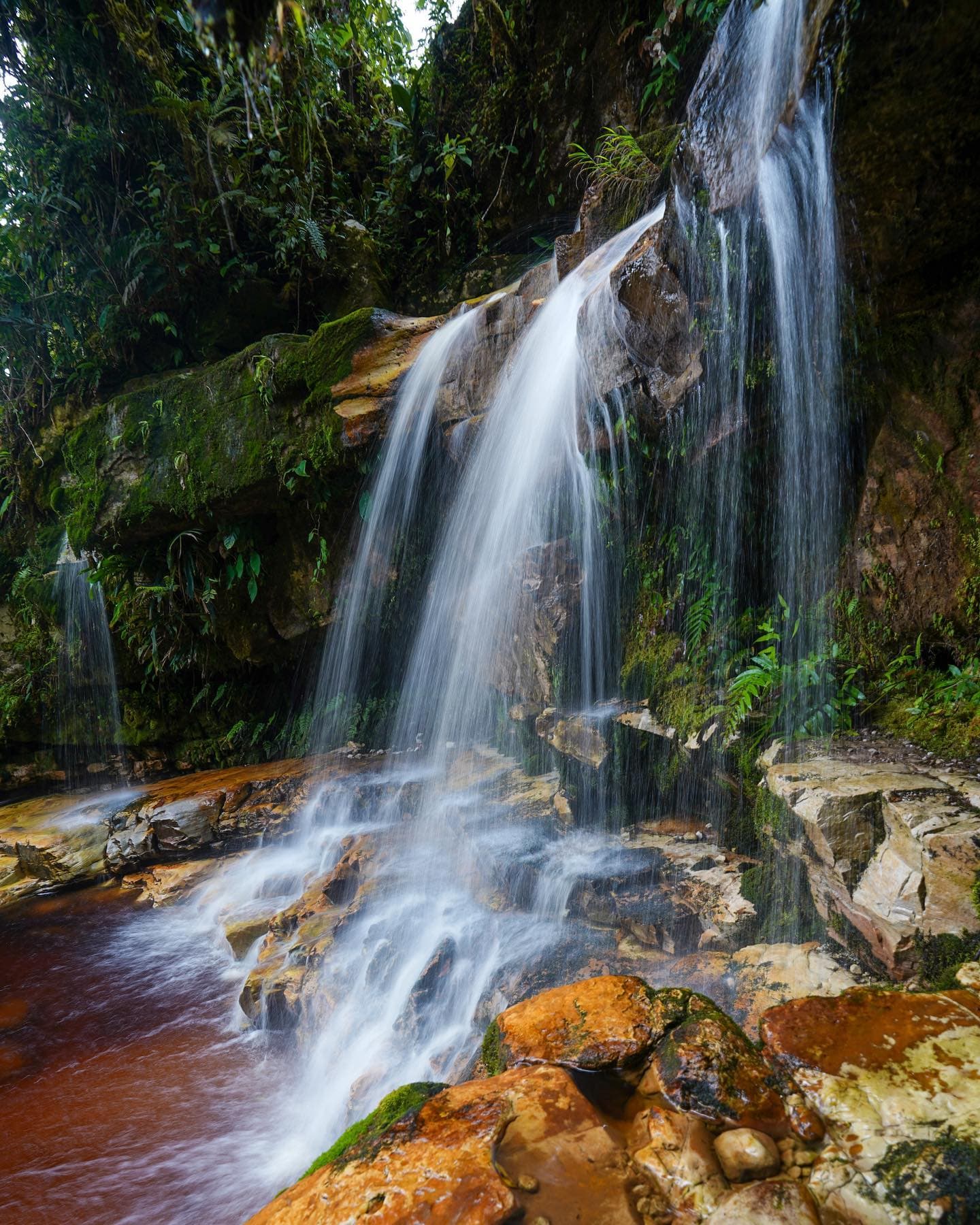 3in1: Los Haitises N. Park + Wasserfälle + Montaña Redonda - Photo 2 (Gallery view)