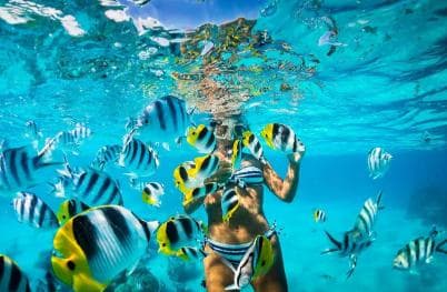 Punta Cana: Catalina Island and Snorkel For Small Group - Photo 4 (Gallery view)
