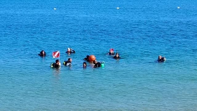 Vega Alta: Playa Cerro Gordo Snorkeling Tour - Photo 5 (Gallery view)