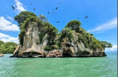 Samana: Los Haitises Kayaks & Caño Hondo Pools Tour w/ Lunch - Photo 5 (Gallery view)