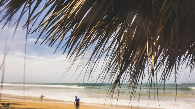 Doświadczenie surfingowe w Punta Cana: Surfuj na Dominikanie - Photo 4 (Gallery view)