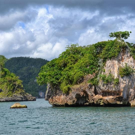 Los Haitises National Park & Cayo Levantado Tour from Samaná Port – Adults $60 | Kids $45 - Photo 3 (Gallery view)