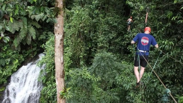 Quepos: Half-Day Rainforest Adventure & Zipline - Photo 5 (Gallery view)