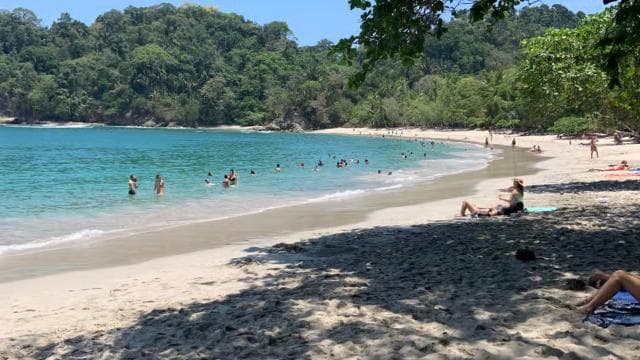 Pak Nasyonal Manuel Antonio: Tout enklizif vwayaj 8 èdtan - Photo 5 (Gallery view)