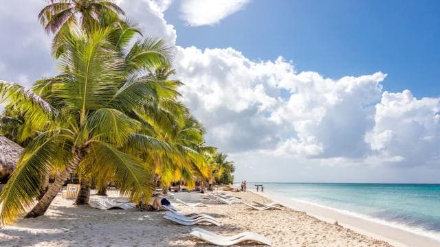 From Punta Cana: Saona Island Cruise with Private Beach - Photo 4 (Gallery view)