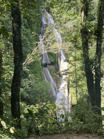 Topes de Collantes Tour - Photo 3 (Gallery view)