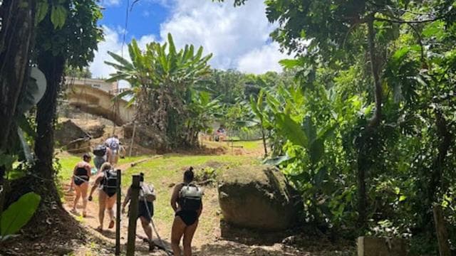 San Juan: El Yunque Waterslide & Waterfall Tour with Snacks - Dominican Republic