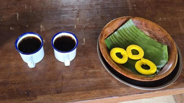 Río Celeste, Sloths, Coffee, Chocolate and Sugarcain - Dominican Republic