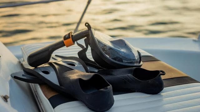 Costa Rica: Dolphin Watching & Snorkelling Private Charter - Dominican Republic