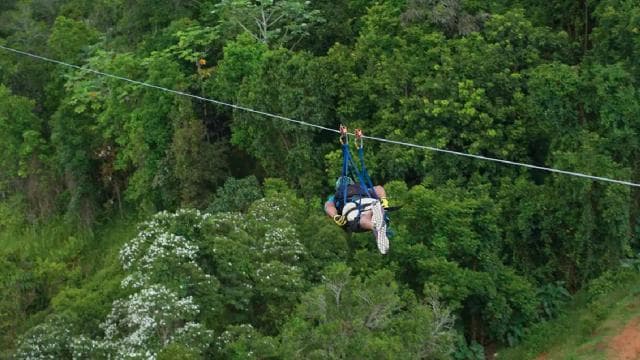 Puerto Rico: The Beast Zipline at Toro Verde Adventure Park - Photo 3 (Gallery view)