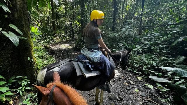 La Fortuna: Arenal Volcano Horseback Riding - Photo 5 (Gallery view)