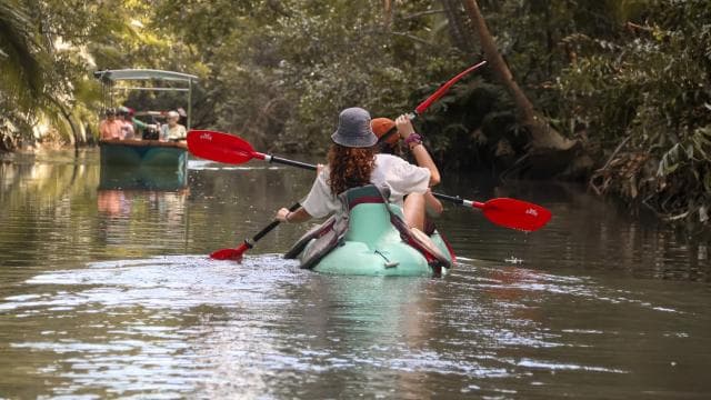 Quepos: Tur cu caiacul în mangrove, lângă Parcul Manuel Antonio - Photo 4 (Gallery view)