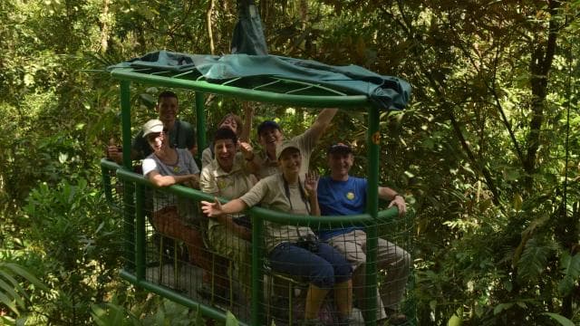 From San Jose: Rainforest Atlantic Aerial Tram Tour - Photo 2 (Gallery view)