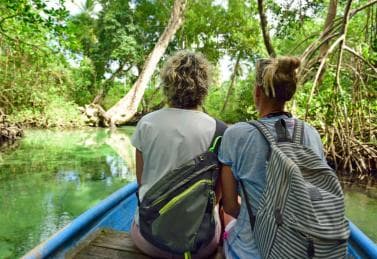Los Haitises: Cacao & Coffee Rainforest Hike/Boat Tour - Photo 4 (Gallery view)