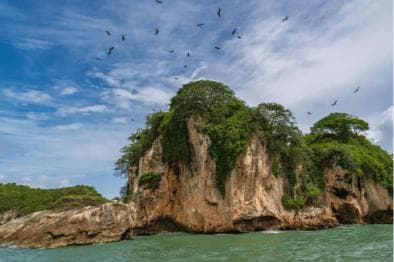 Sabana de la Mar:Los Haitises National Park: Boat Tour and Cave Visit - sabana de la mar