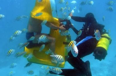 Punta Cana: Scoba Doo Discover the Underwater Wonders - Photo 2 (Gallery view)