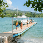 Discovering Samaná: Islands and Waterfalls - Photo 3 (Gallery view)