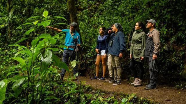 Monteverde: Monteverde Cloud Forest Canopy Adventure - Photo 3 (Gallery view)