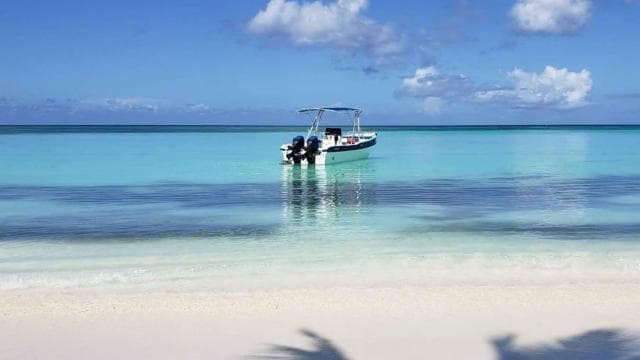 Santo Domingo to Saona: A Tropical Adventure - Photo 4 (Gallery view)