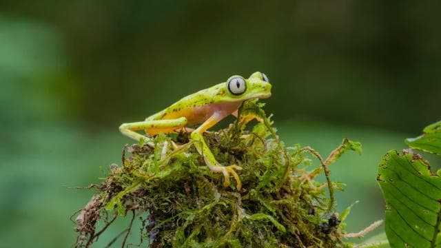 Natura Eco Park Admission: Wildlife Sanctuary - Dominican Republic