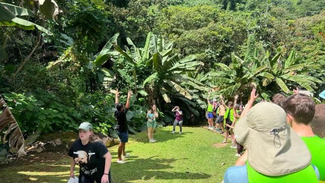 Wasserrutschen und Strandtour und Transport im El Yunque-Regenwald - Photo 3 (Gallery view)