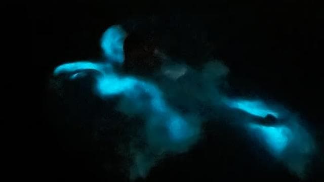 La Parguera: Bioluminescent Bay Boat Tour - Photo 5 (Gallery view)