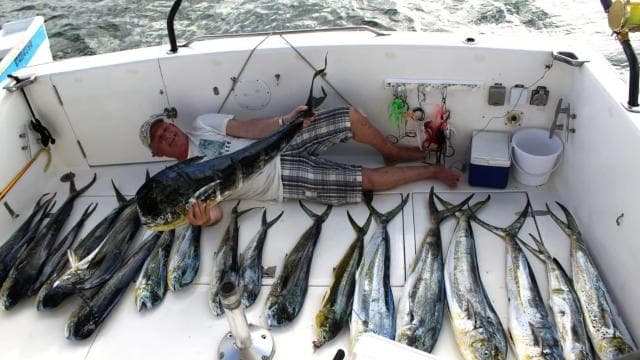 Punta Cana offshore private fishing charter "Sherlock" 39 ' - Photo 2 (Gallery view)