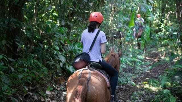 La Fortuna: Horseback Ride La Fortuna Waterfall w/Pick-up - Photo 3 (Gallery view)
