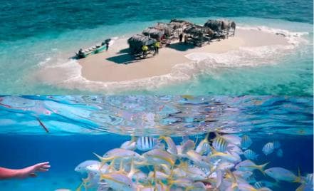 Cayo Arena: tour privato di Paradise Island e Magroves - Photo 5 (Gallery view)