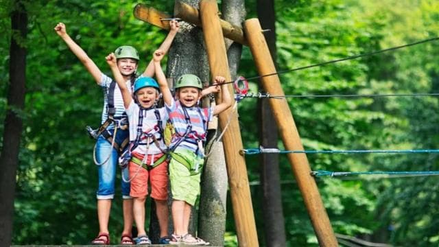 Punta Cana: Zipline Canopy Adventure with Hotel Pickup - Photo 4 (Gallery view)