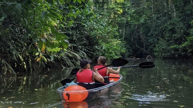 Punta Uva: Clear Kayak Tour with Jungle and Sea Views - Photo 2 (Gallery view)
