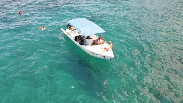 Réserve biologique de l'île Caño - Snorkeling ou plongée sous-marine - Photo 5 (Gallery view)