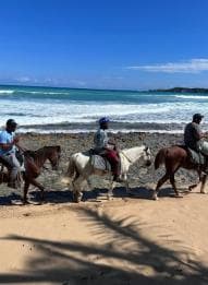 Punta Cana: Guided Horseback Tour of Beaches and Fields - Photo 5 (Gallery view)