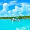 Da Punta Cana: tour di un'intera giornata all'Isla Saona con pranzo a buffet - Photo 3 (Gallery view)