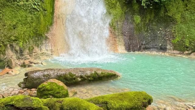 Quepos: rafting sul pittoresco fiume Savegre - Photo 3 (Gallery view)