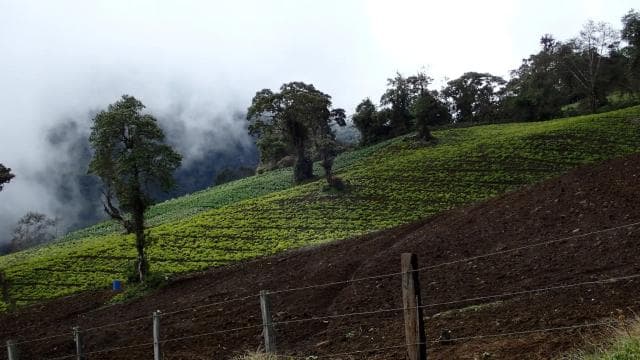 From San Jose: Secrets of Guayabo & Irazú Volcano - Photo 4 (Gallery view)