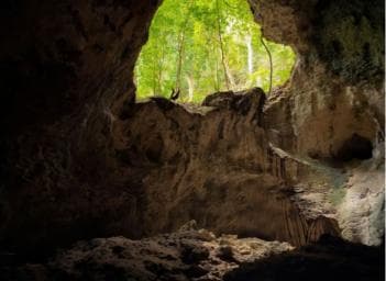 Sabana de la Mar: Los Haitises National Park Day Trip Free - Dominican Republic