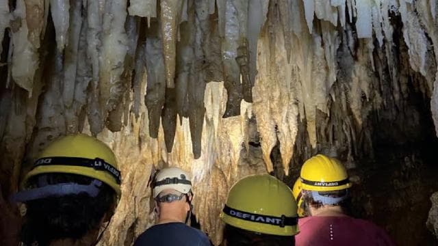 San Juan: Camuy River Canyon and Cave Tour with Pickup - Photo 2 (Gallery view)