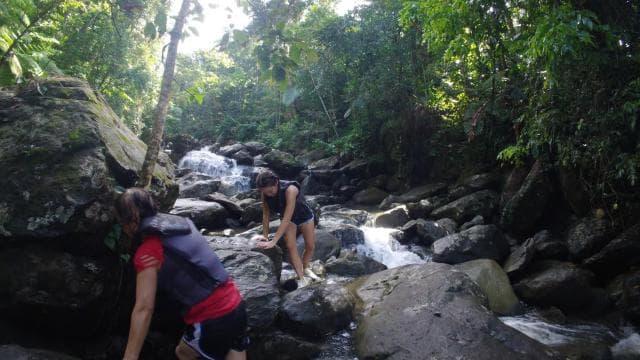 San Juan: El Yunque Waterfalls & Scenic Beach Buggy - Photo 3 (Gallery view)